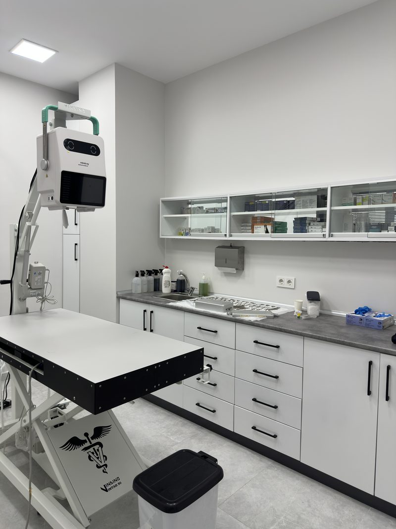Kirazlı Veteriner Kliniği cerrahi operasyon ve takip