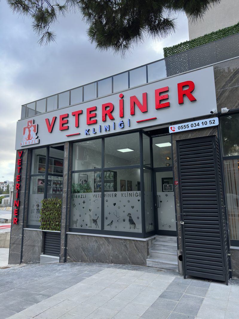Kirazlı Veteriner Kliniği cerrahi hizmeti