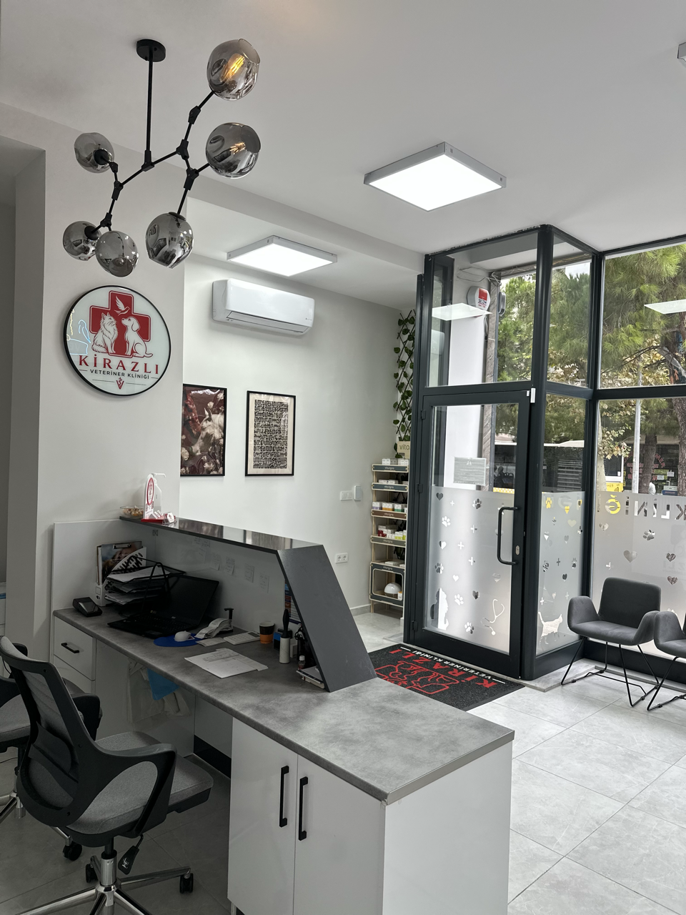 Kuş hekimliği ve muhabbet kuşu