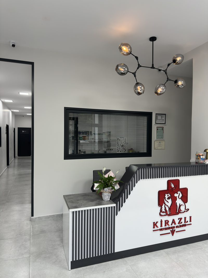 Pet Market - Kirazlı Veteriner Kliniği