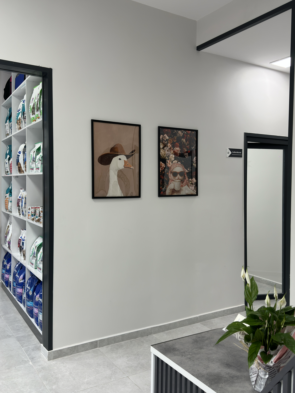 Kirazlı Pet ve Kuş Veteriner Kliniği fotoğrafı
