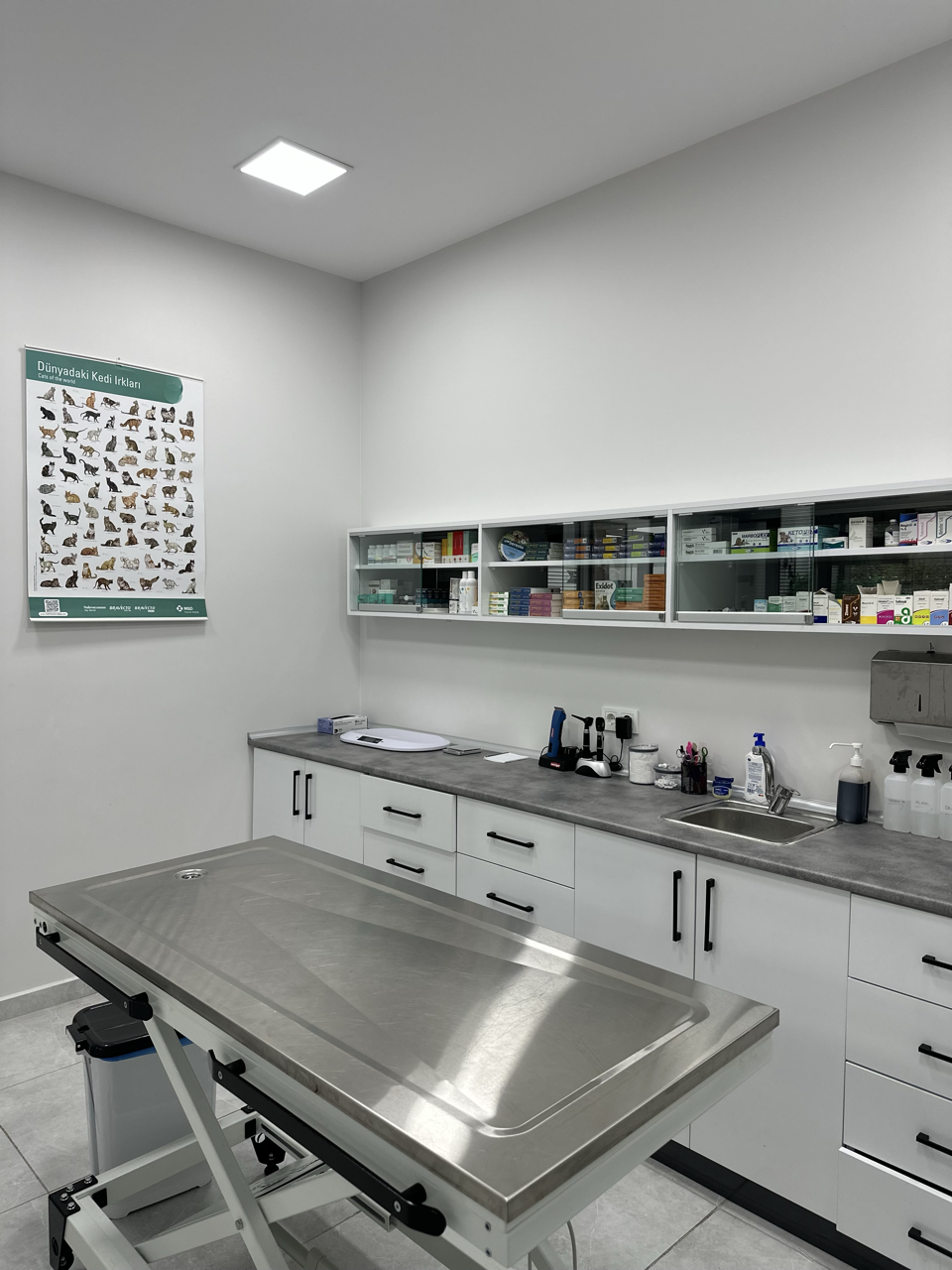 Kirazlı Pet ve Kuş Veteriner Kliniği fotoğrafı