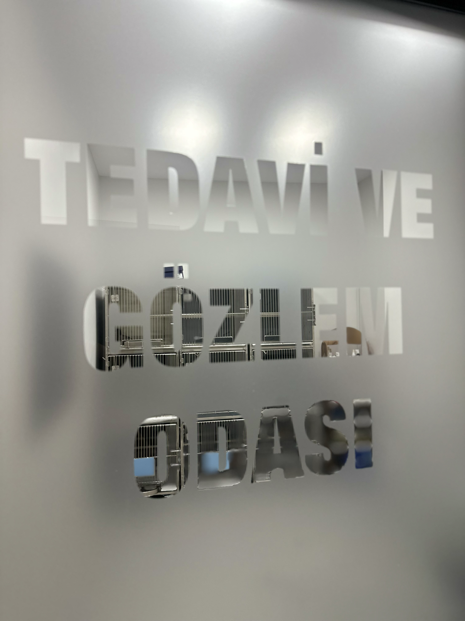 Kirazlı Pet ve Kuş Veteriner Kliniği fotoğrafı